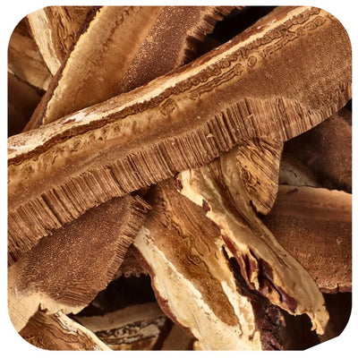 Bulk Organic Reishi Mushroom Slices