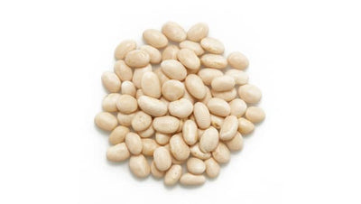 Organic Navy Beans Bulk
