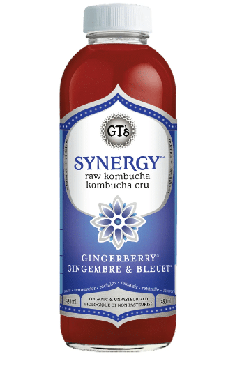 GT's Synergy Gingerberry, 480Ml