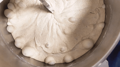Birdies Soughdough Pizza Dough