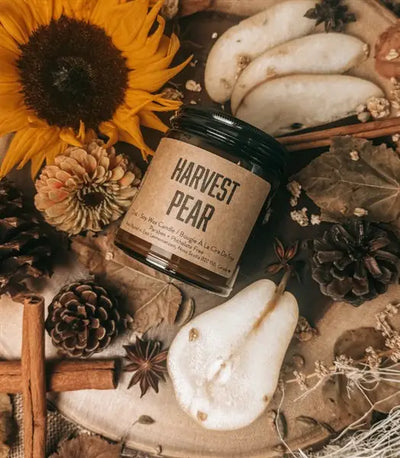 Lawrencetown Candle Co - Harvest Pear, 12.4 Oz