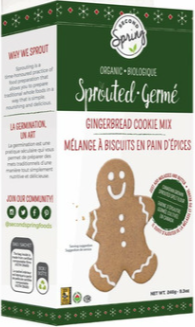 Second Spring Organic Sprouted Gingerbread Cookie Mix, 246G