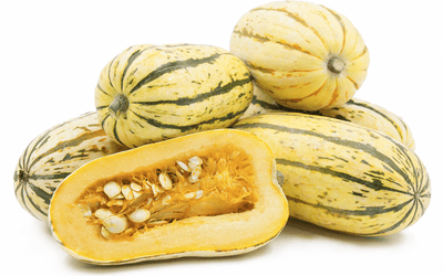Certified Organic Delicata Squash