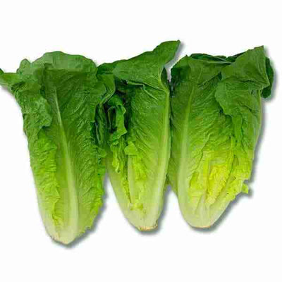 CERTIFIED ORGANIC Romaine Hearts, 3 Pack