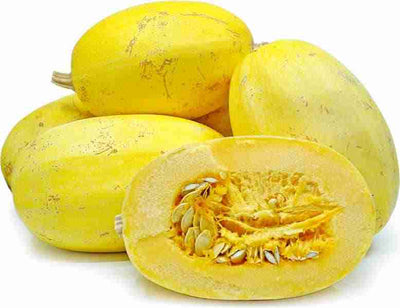 Certified Organic Spaghetti Squash