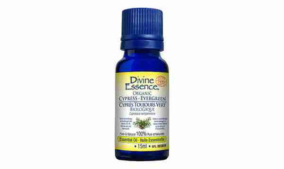 Divine Essence Organic Cypress Evergreen Essential Oil - 15Ml