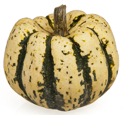 ORGANIC PRODUCE DUMPLING SQUASH