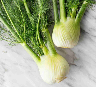 CERTIFIED ORGANIC Fennel