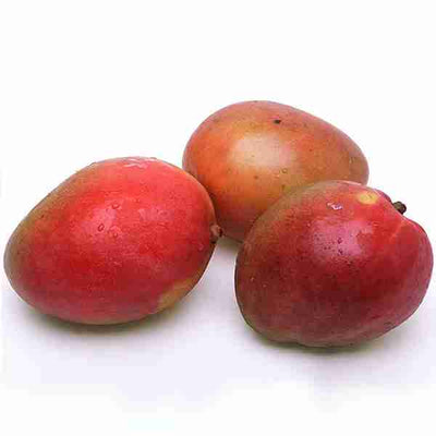 CERTIFIED ORGANIC Mango