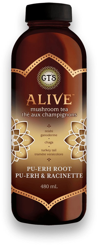 GT's ALIVE Mushroom Tea - Root Beer, 480Ml