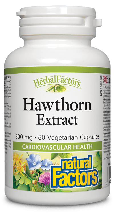 Natural Factors Hawthorn Extract 300Mg - 60 Capsules