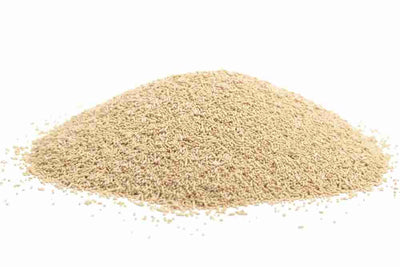 Bulk Organic Instant Yeast, 100g