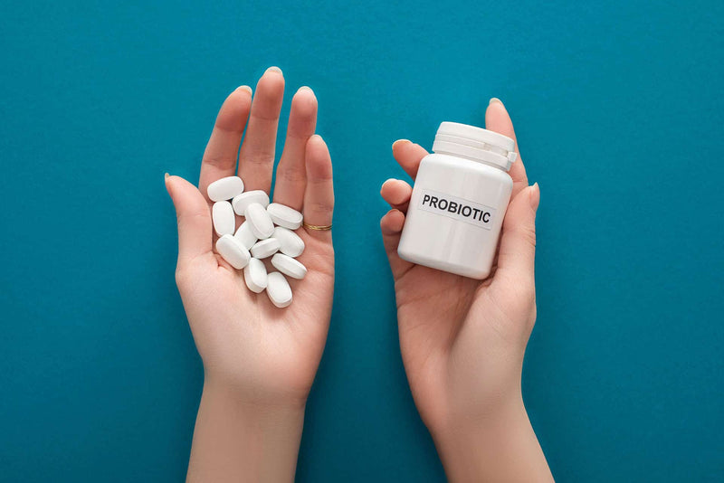 Probiotics for Gut Health in Canada: Best For Women and Men