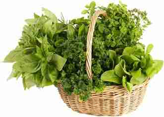 Fresh Organic Herbs