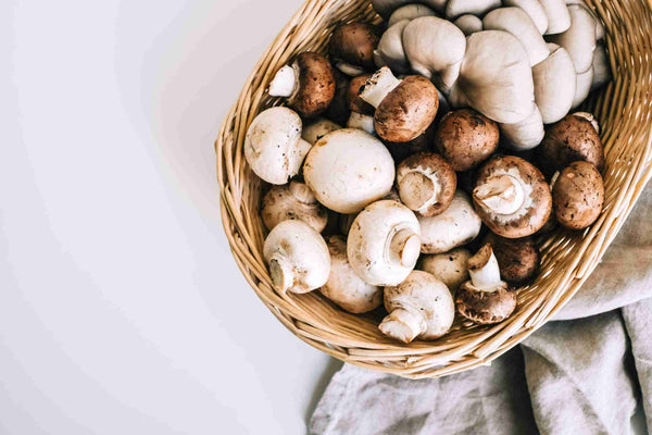 Fresh Organic Mushrooms