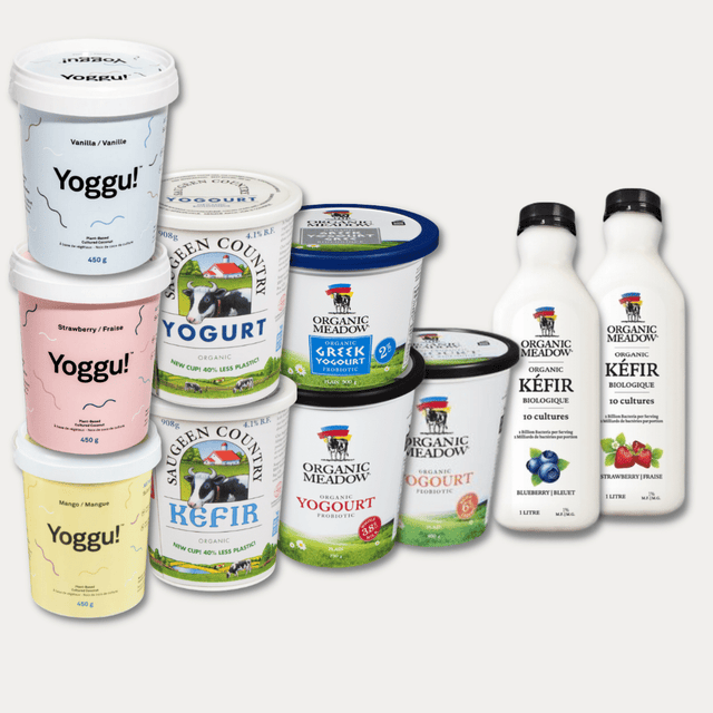yogurt