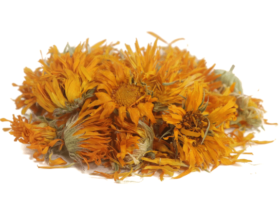 Bulk Organic Whole Calendula Flowers