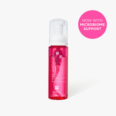 Andalou Naturals 1000 Roses Gentle Cleansing Foam, 163 mL