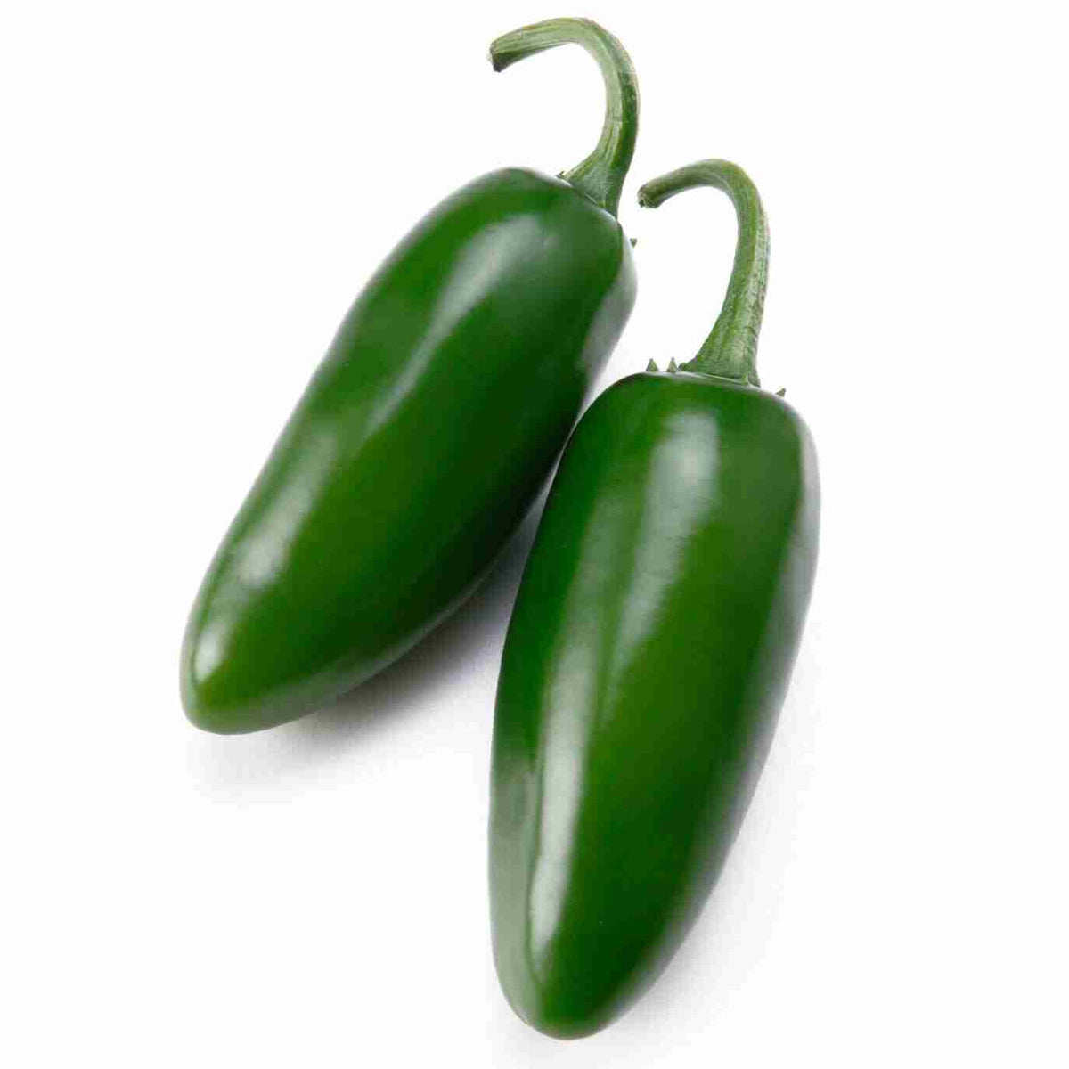 CERTIFIED ORGANIC Jalapeno Peppers