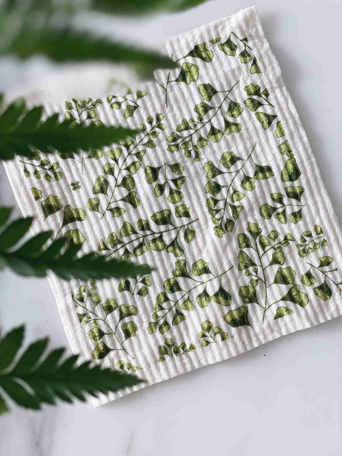 Ten And Co. Sponge Cloth X Fern
