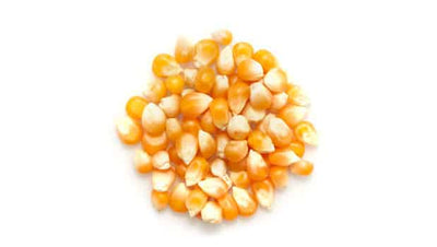 Organic Popcorn Bulk