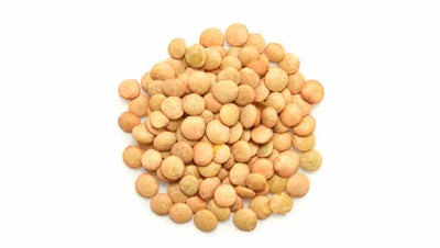 Organic Green Lentils Bulk