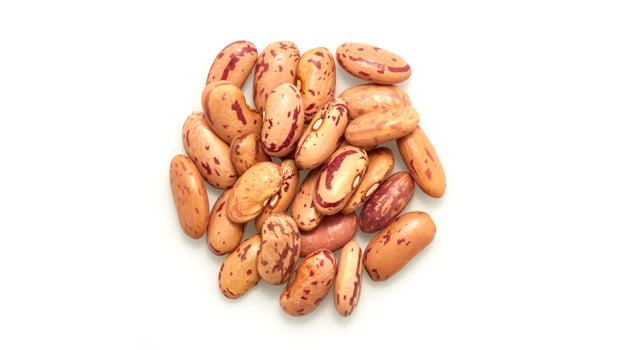 Organic Pinto Beans Bulk