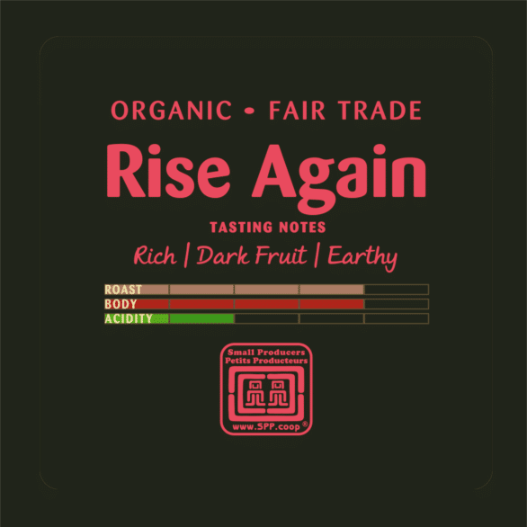 Just Us! Rise Again Ground 340G