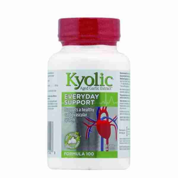 Kyolic Aged Garlic Extract Formula 100, 90 Capsules