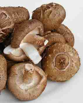 CERTIFIED ORGANIC Shiitake Mushroom
