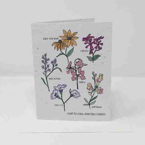 Jill + Jack Seed Card - Wildflowers