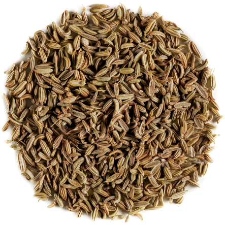 Organic Fennel (Whole Seed)