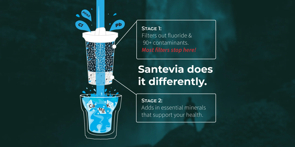 Santevia Glass Water System SPECIAL ORDER Until OCT 31ST & SAVE!