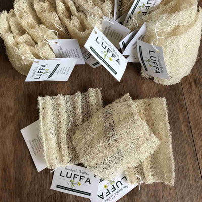 Annapolis Valley Luffa - Multi-Scrubber +/- 5"X5" Flat