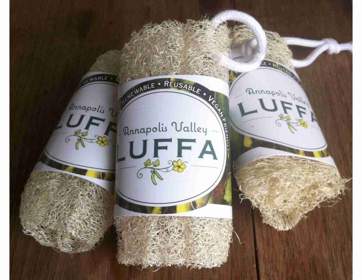 Annapolis Valley Luffa Personal Sized 5" Corded
