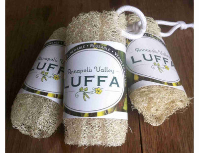 Annapolis Valley Luffa -  Personal Sized 5" Corded