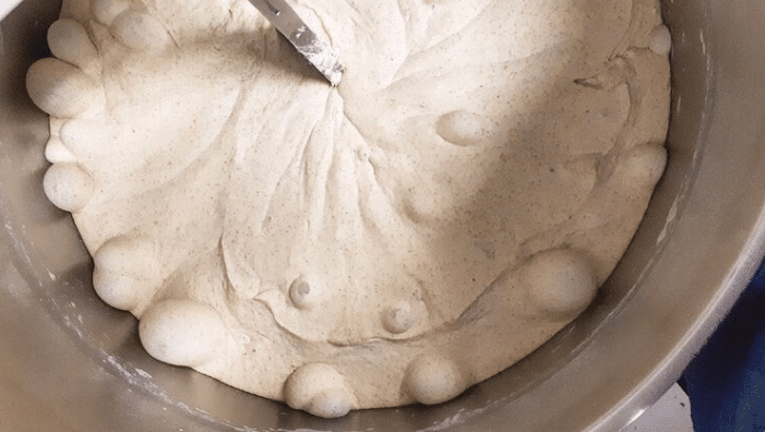 Birdies Soughdough Pizza Dough