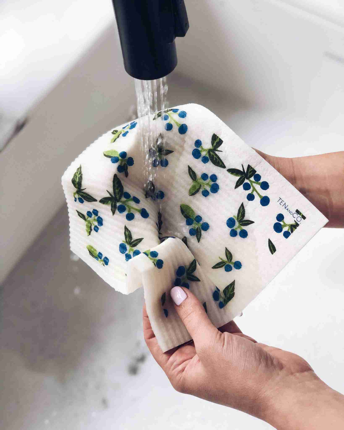 Ten And Co. Sponge Cloth X Wild Blueberry