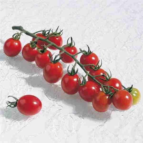 CERTIFIED ORGANIC Mini Apero Tomatoes, 190 g