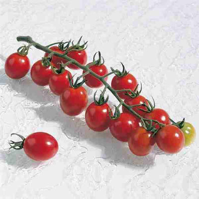 CERTIFIED ORGANIC Mini Apero Tomatoes, 190G