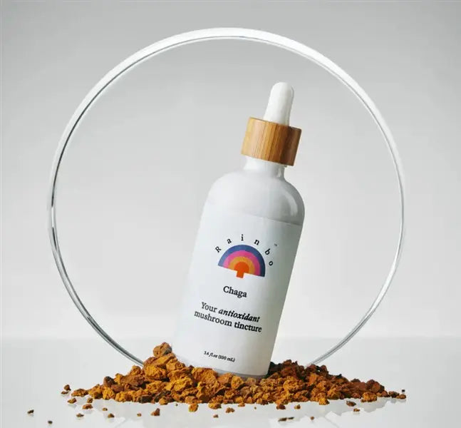 Rainbo Chaga Antioxidant Mushroom Tincture, 100 mL