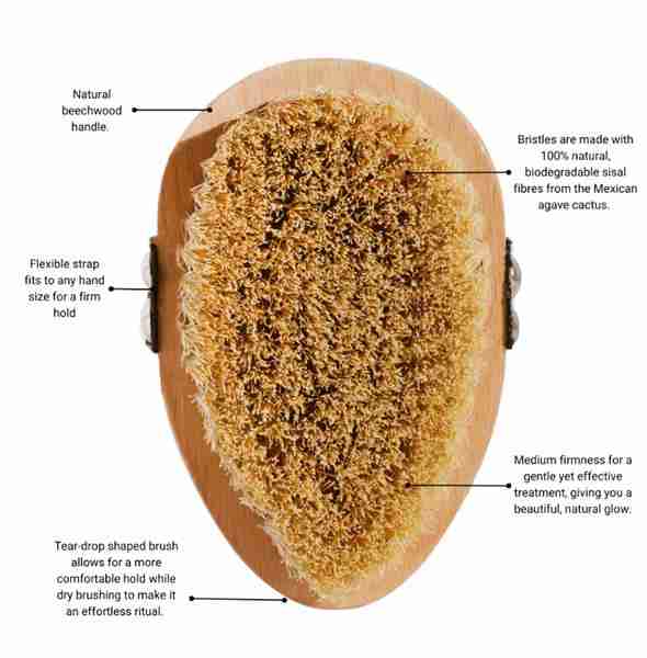 MIFA And Co Detox Body Brush