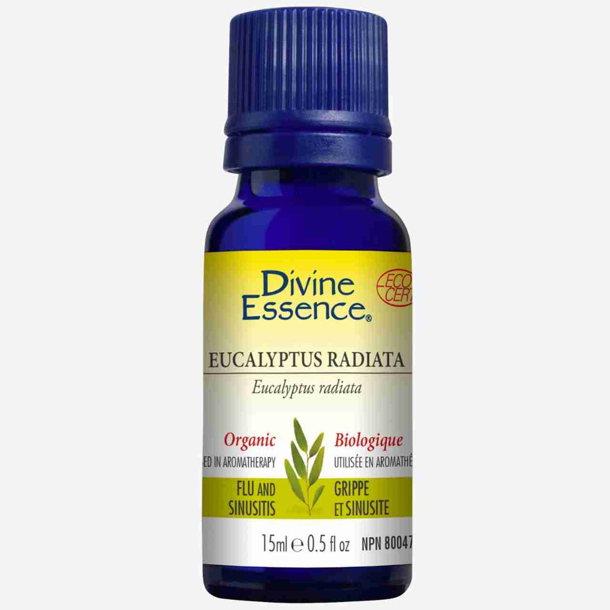 Divine Essence Organic Eucalyptus Radiata Essential Oil, 15 mL