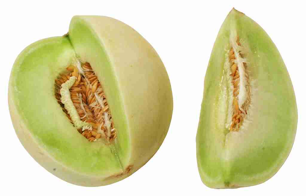 Certified Organic Honeydew Melon