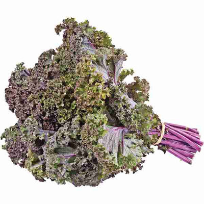 CERTIFIED ORGANIC Red Kale