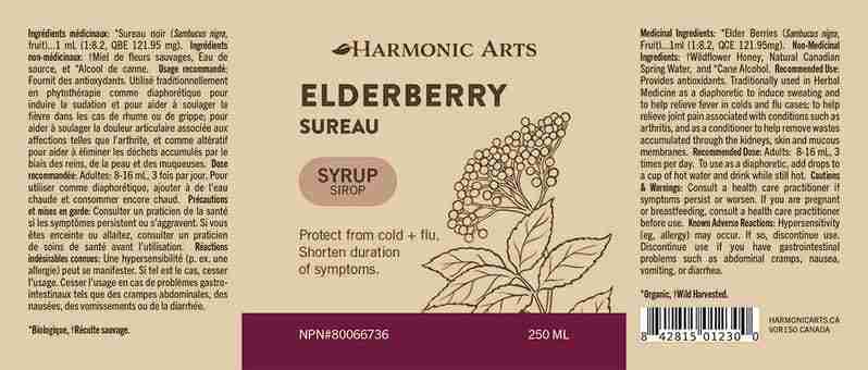 Harmonic Arts Elderberry Syrup, 250 mL