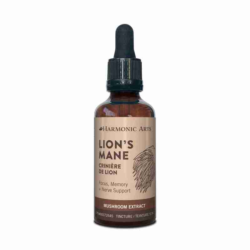 Harmonic Arts Lion's Mane Tincture, 50 mL