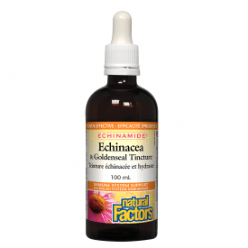 Natural Factors Echinamide Echinacea & Goldenseal Tincture, 100 mL