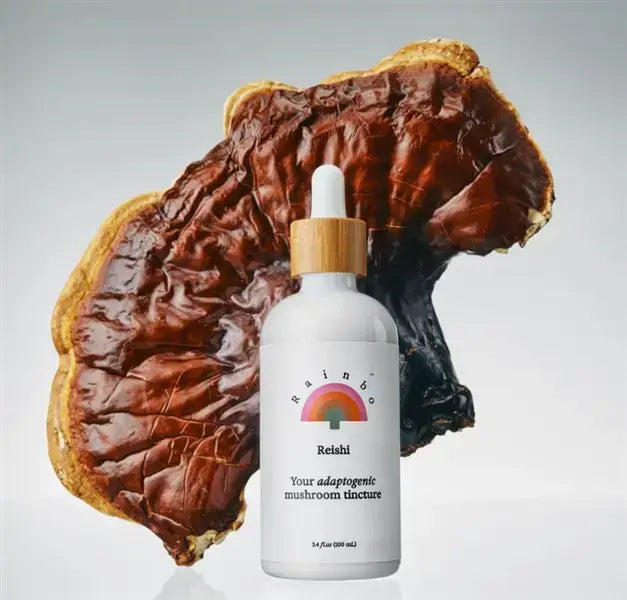 Rainbo Reishi Adaptogenic Mushroom Tincture, 100 mL