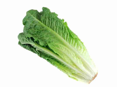 CERTIFIED ORGANIC Romaine Heart, Single